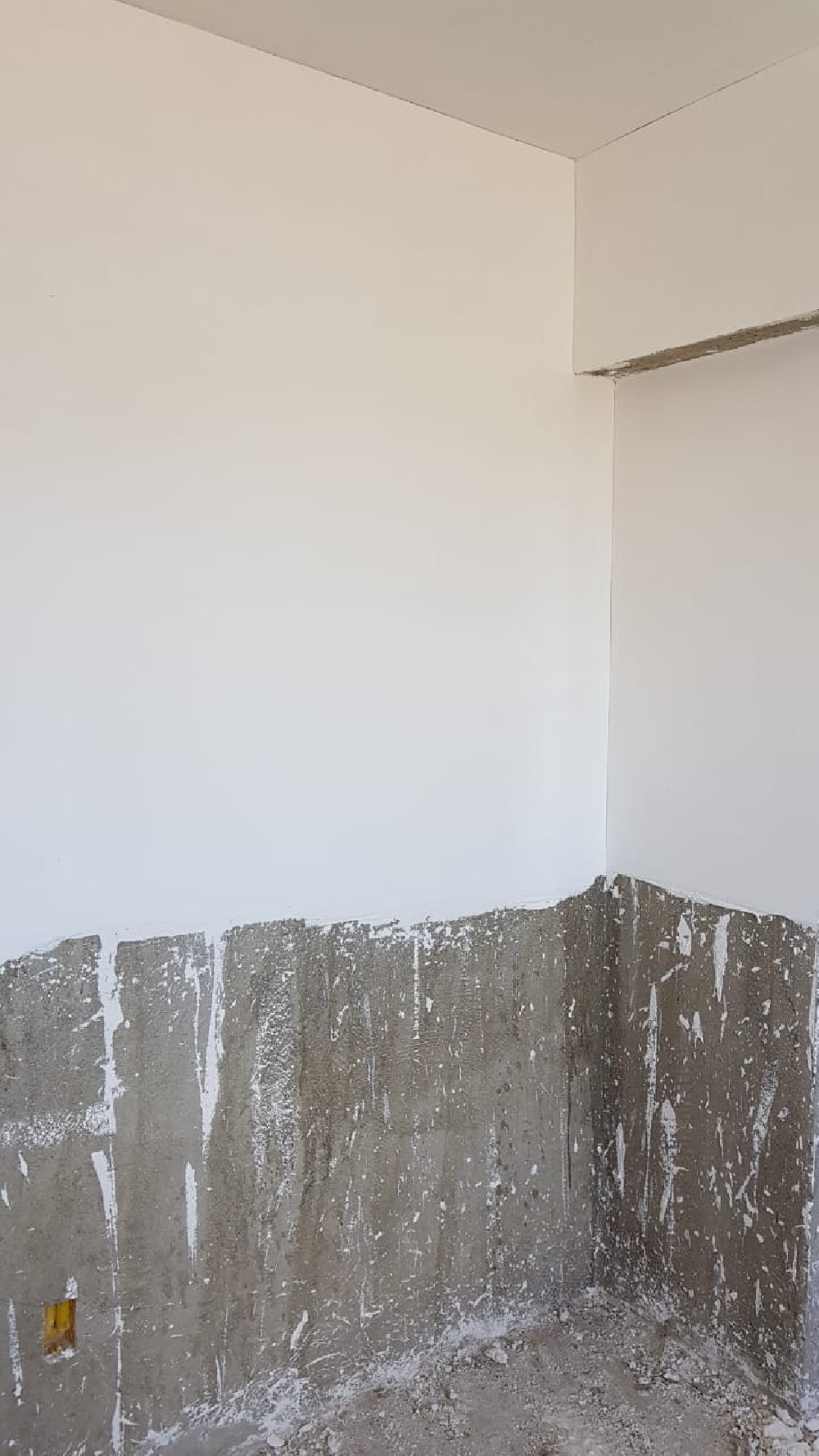 Gesso Liso Glauco Gesso