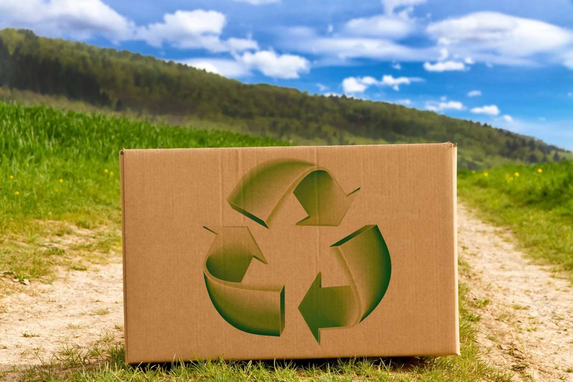 Sustainable Cardboard Packaging Provider & Manufacturer