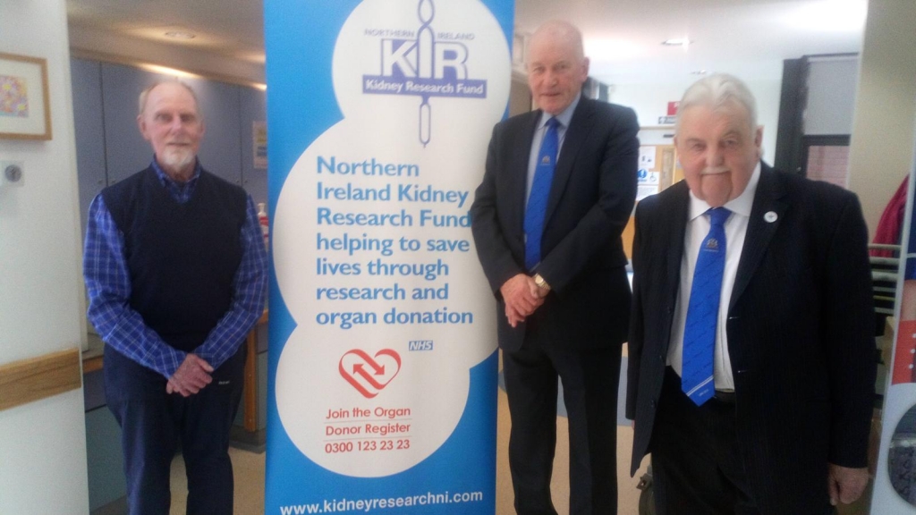 Northern Ireland Kidney Research Fund Glenavon Football Club