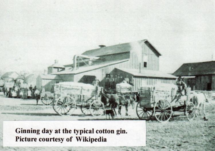 Growing Up on a Glendale Farm.