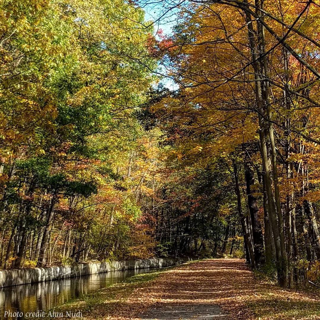 Glens Falls Fall Guide Festivals, Activities & More