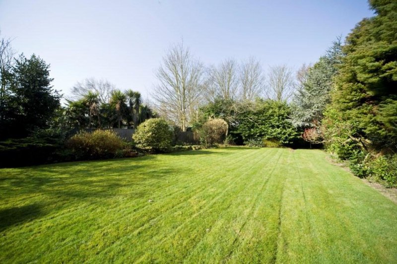 Properties Sheldon Avenue Apartments,Houses for Sale