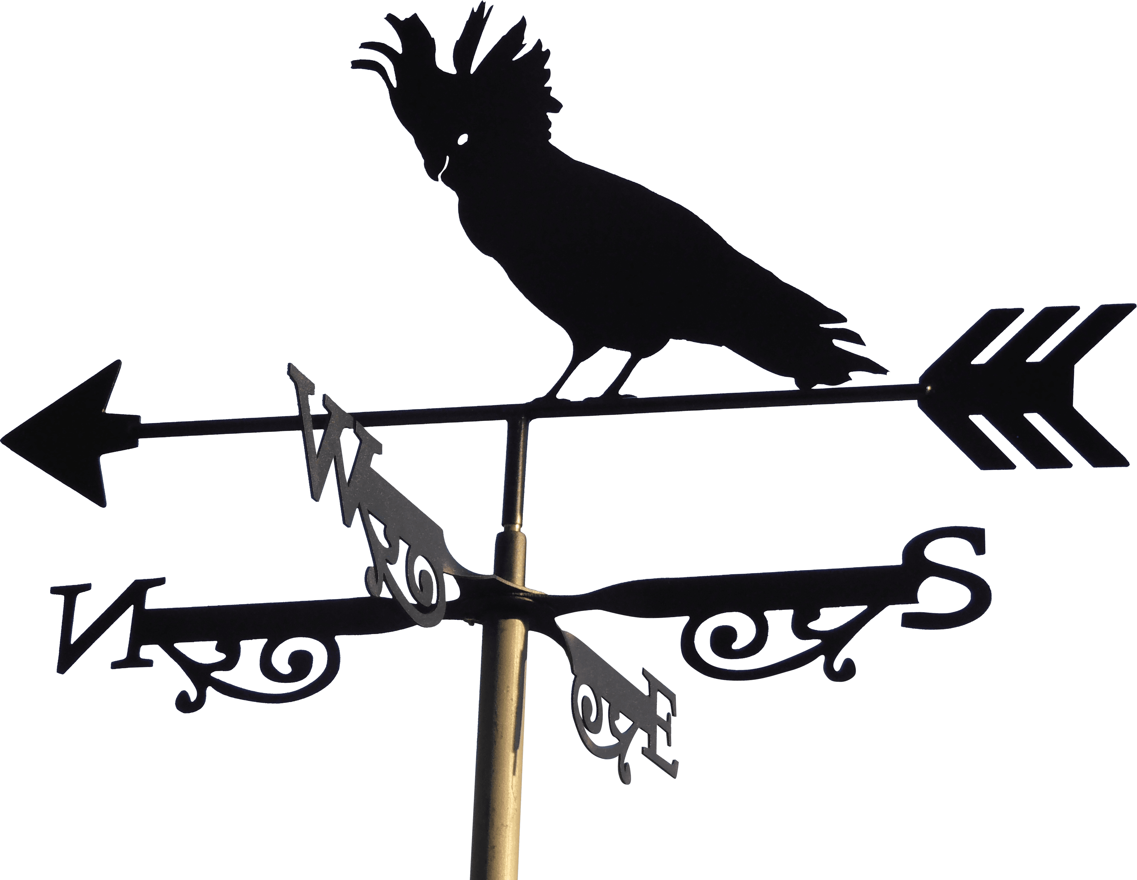 Cockatoo Weathervane Glenview Products