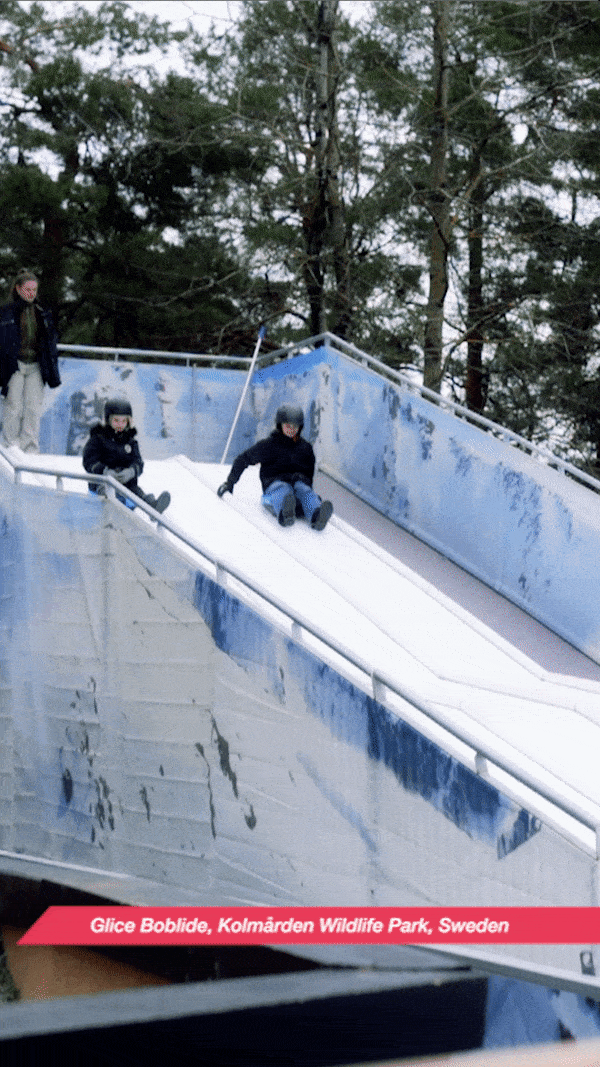 Reinventing the bobsled industry with the our Bob Slide GliceRink