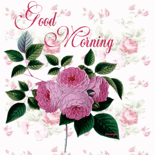 Good Morning Wishes Glitters Buddy