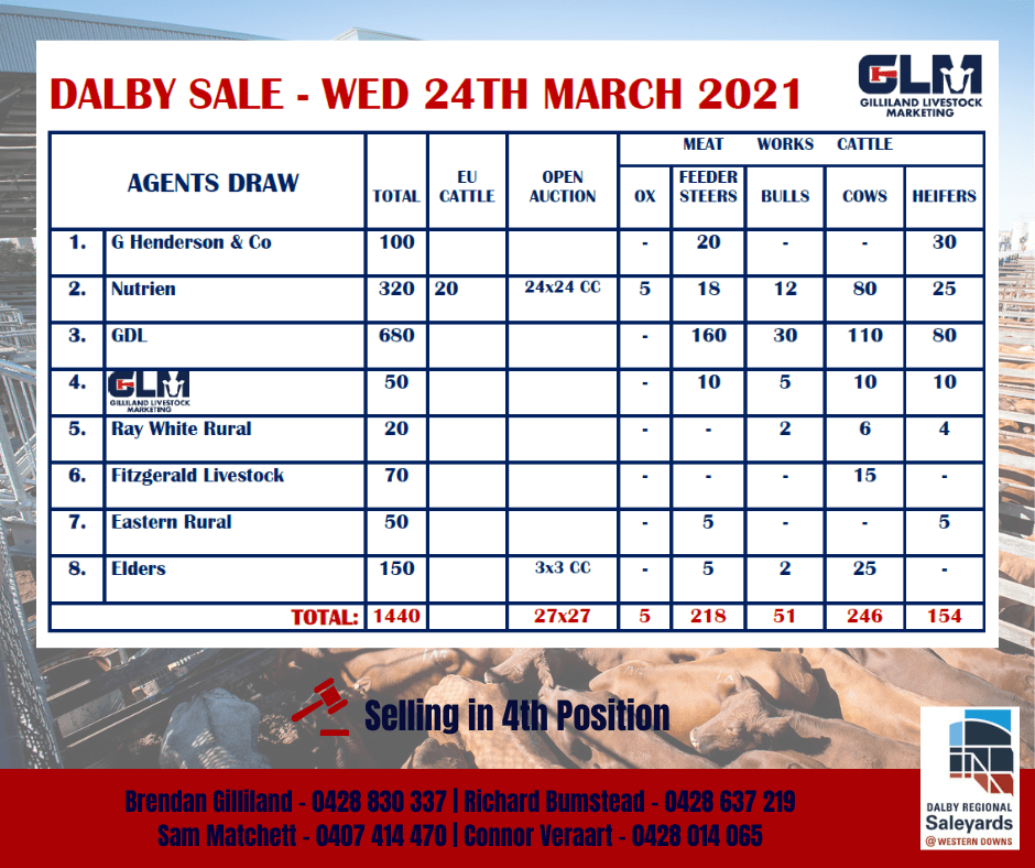 Dalby Weekly Cattle Sale Gilliland Livestock Marketing Livestock Agents