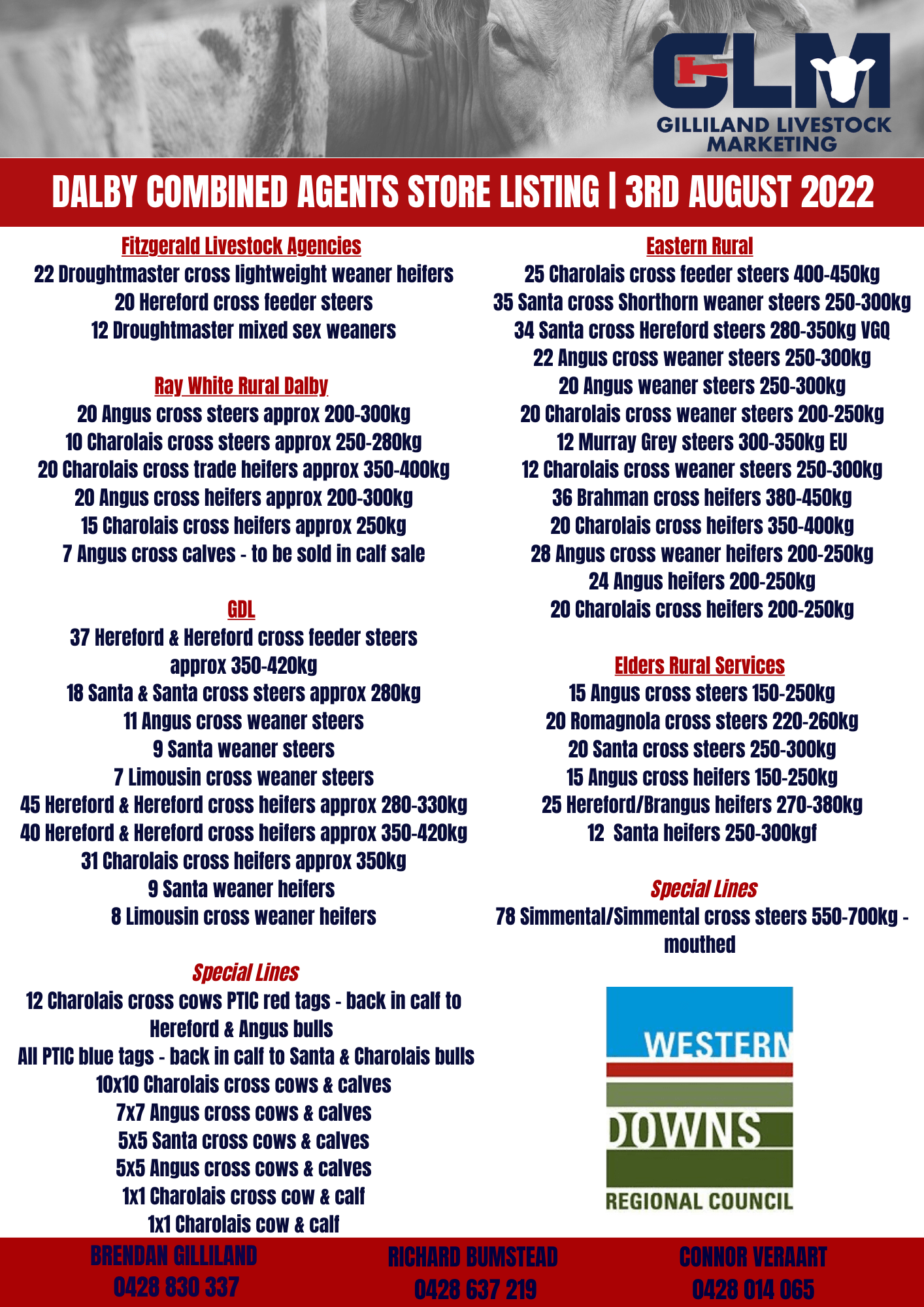 Dalby Weekly Cattle Sale Gilliland Livestock Marketing Livestock Agents