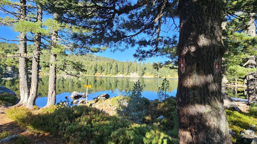 Equipment Global Limits