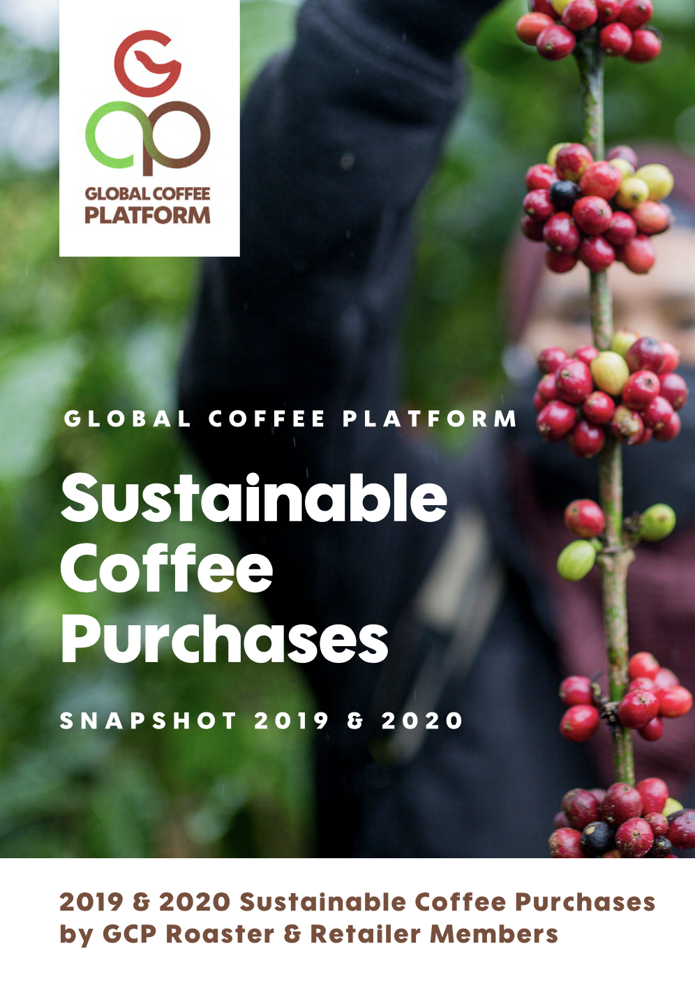 How To Start A Coffee Business In Kenya / Tomoca Coffee Set To Open