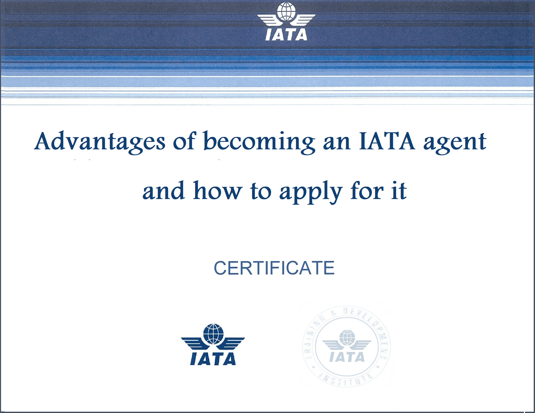 How IATA membership can help independent freight forwarders