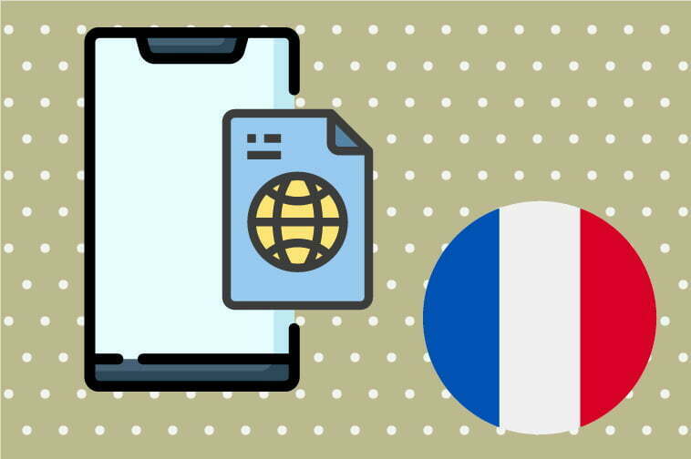 French Software Translation French Translation Solutions