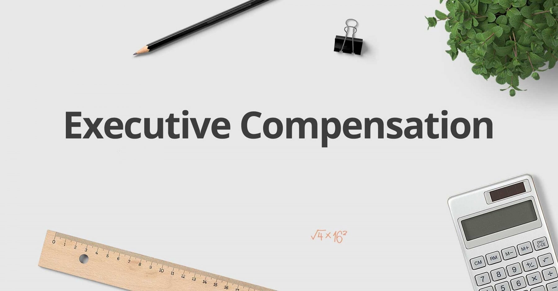 Executive Compensation Plan How It Works & Structure