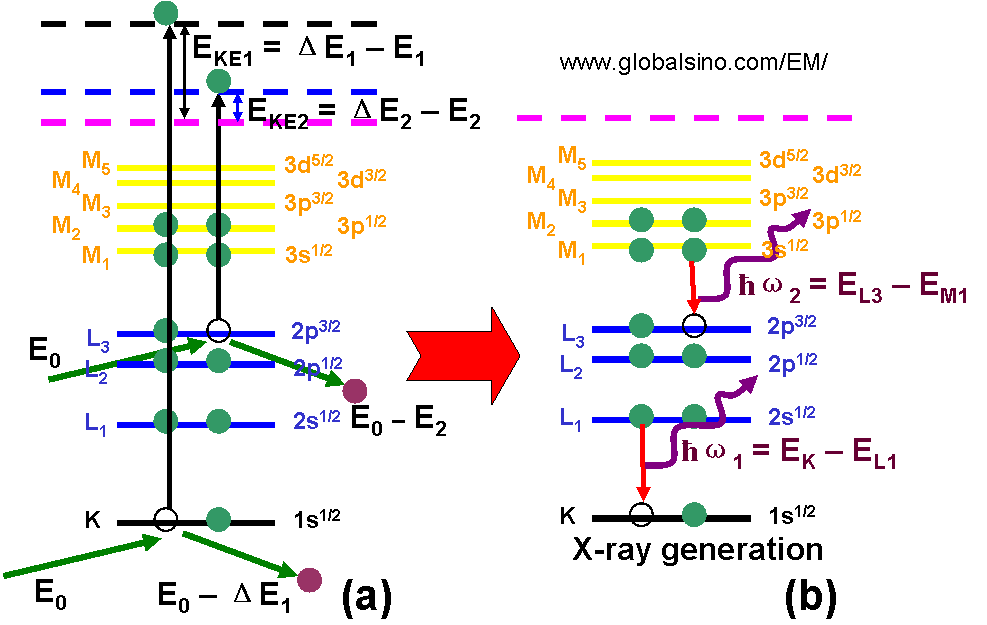 Periodic table for analytical TEM (EDS/EELS) analysis and comparison