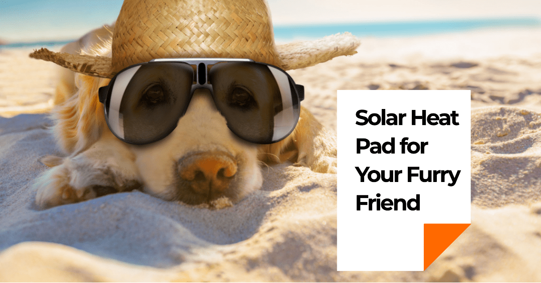 Why Solar Heat Pad for Pets Is the Latest Trend & How to Get One