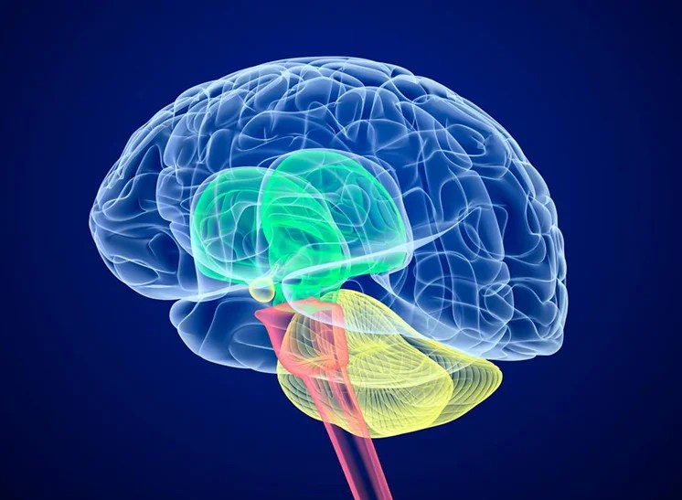 Cerebral Palsy Stem Cell Treatment in Delhi, India Cerebral Palsy