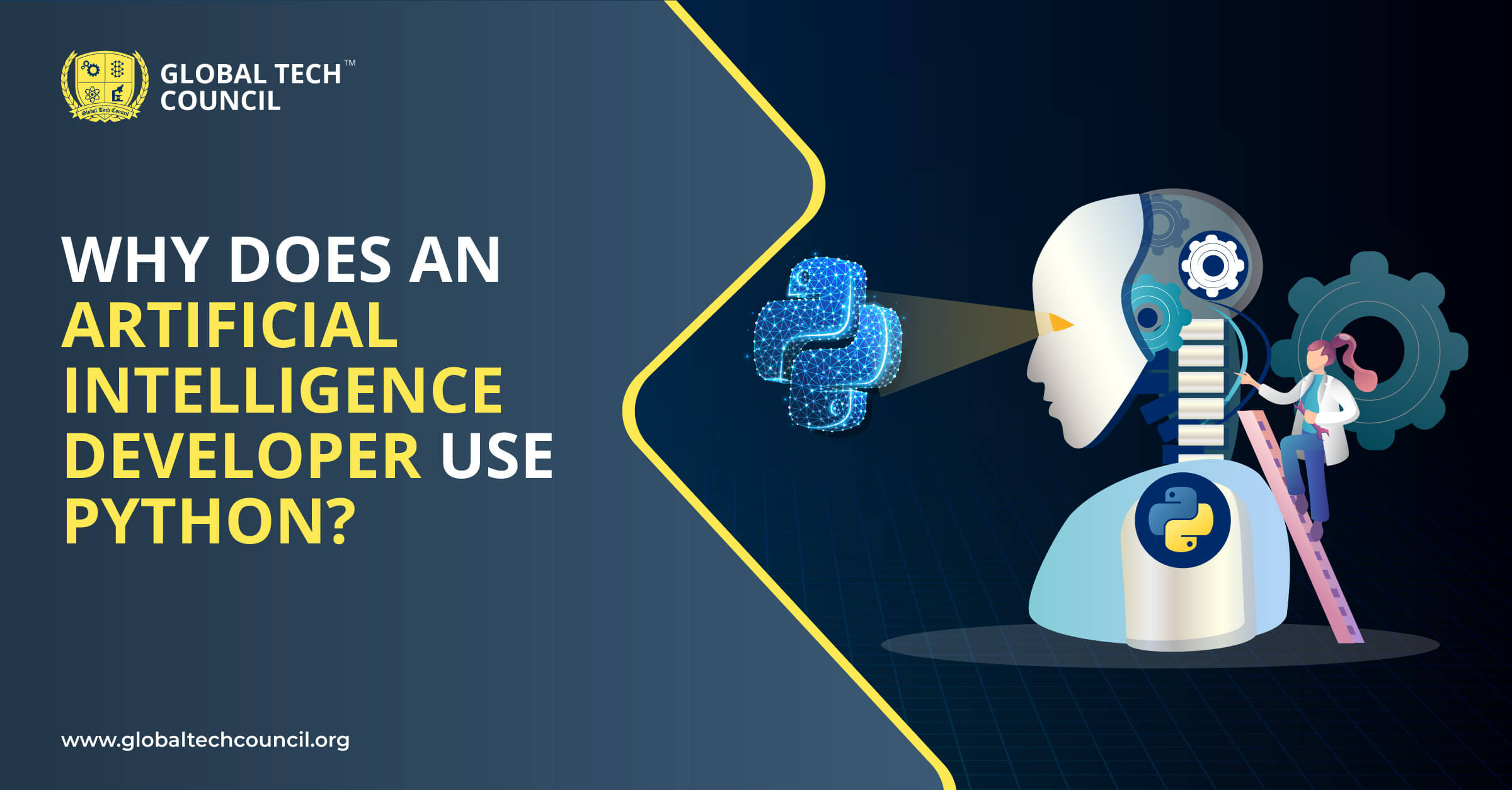 Why Does an Artificial Intelligence Developer Use Python?