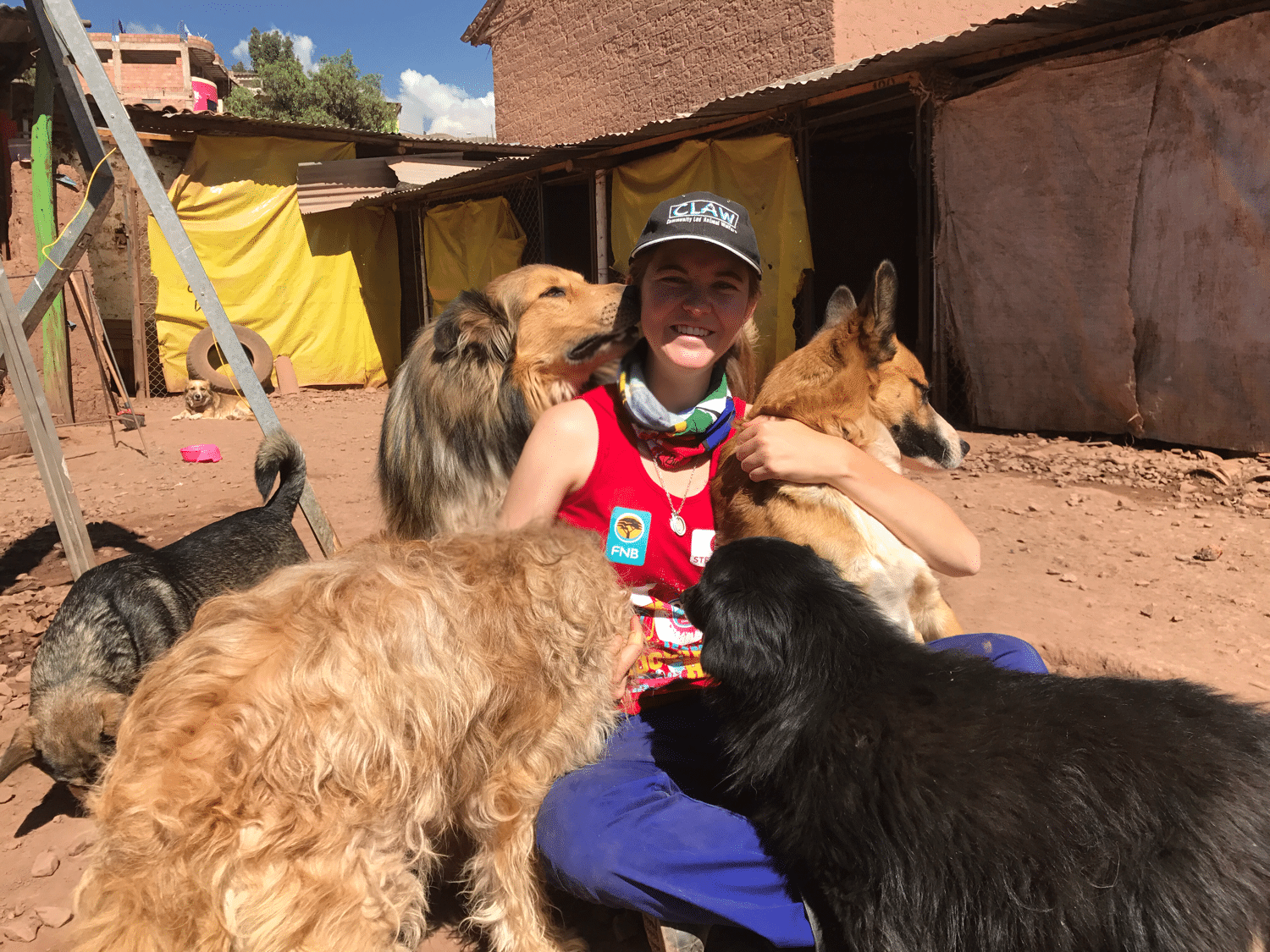 How Do I Adopt A Dog From Abroad