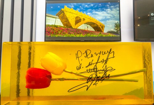 Chinese artist's 'Golden Bridge on the Silk Road' public