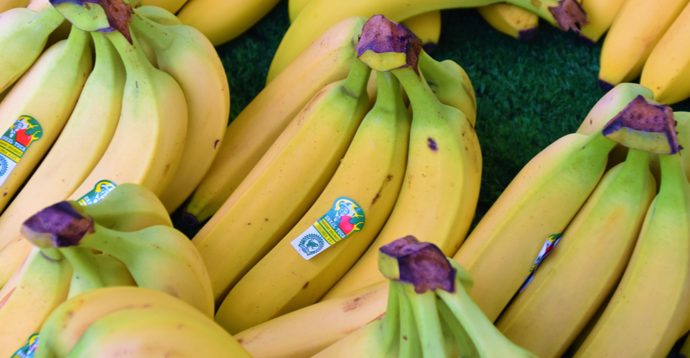 Despite Record Exports from Ecuador, Banana Prices Continue to Rise on