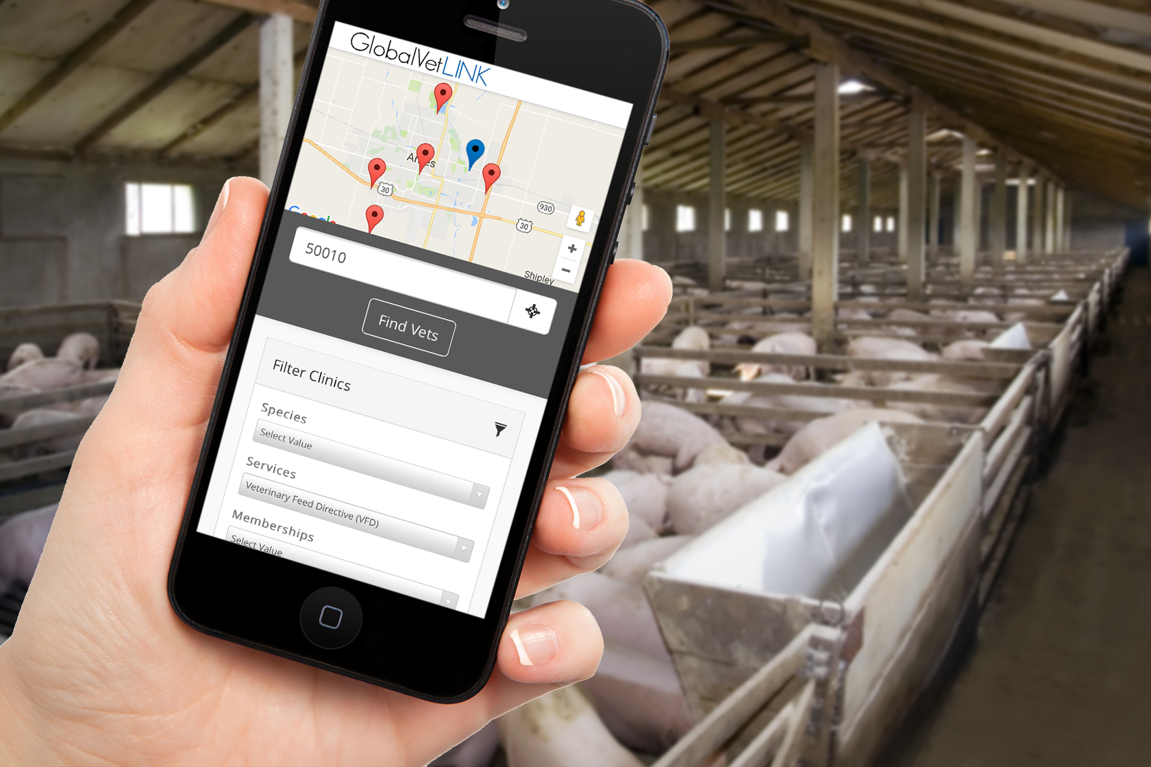 Online Animal Health Solutions GlobalvetLink