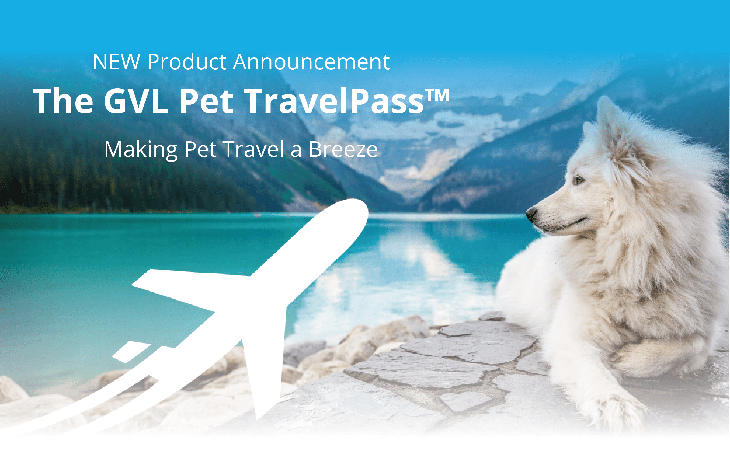Introducing the GVL Pet TravelPass™ for Domestic and International Pet