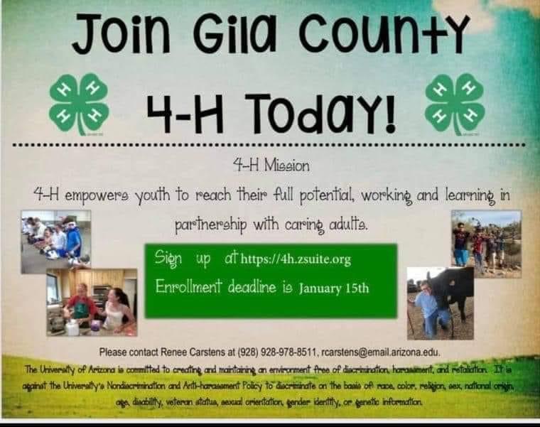 Globe Miami, AZ Events