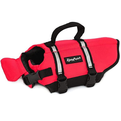 10 Best Dog Life Jackets in 2020 🥇 [Buying Guide] Reviews Globo Surf