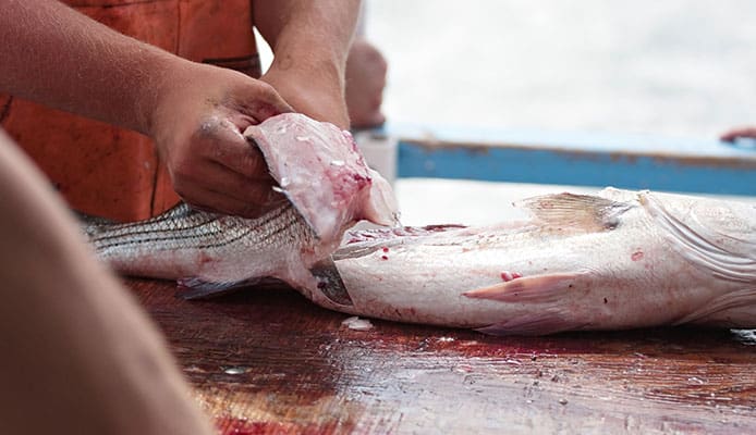 3 Easy Ways to Get Fish Smell Off Your Hands Globo Surf