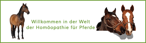 Einsatz der Homöopathie für Pferde, Liste aller Mittel Globuliwelt