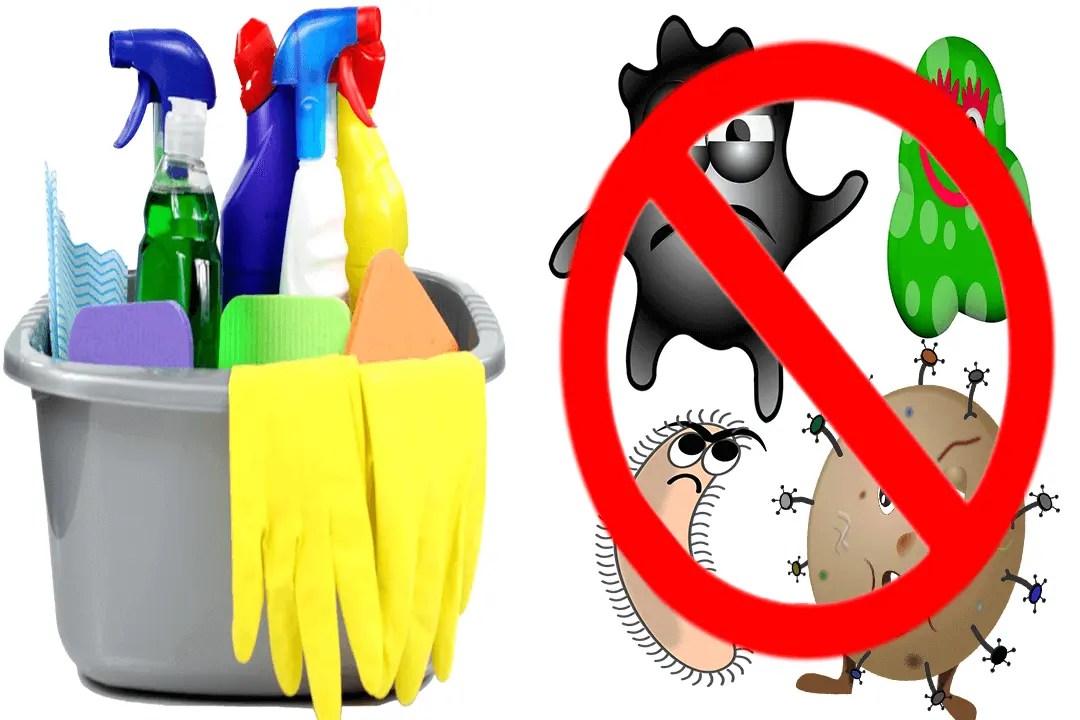 Top 6 Reasons To Wear Cleaning Gloves You Must Know