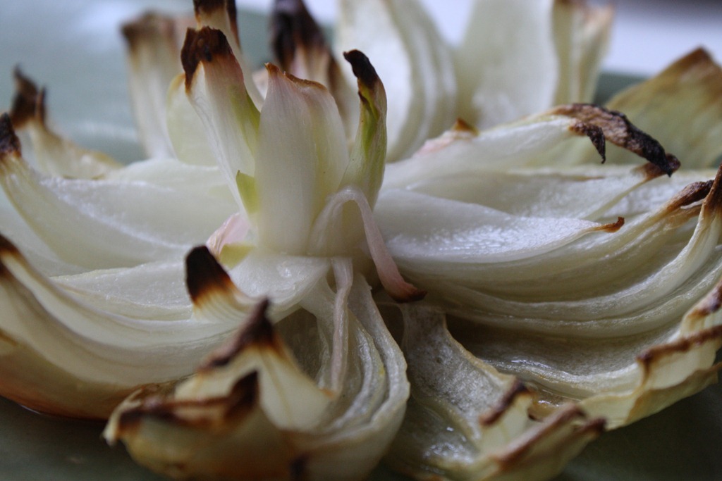 Onion Blossom Glow Kitchen