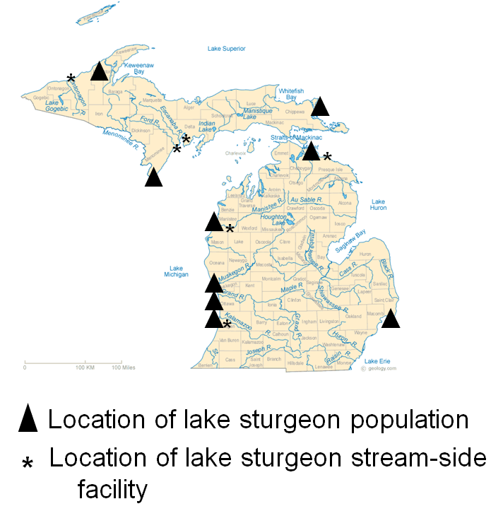 Education & Outreach Great Lakes Sturgeon