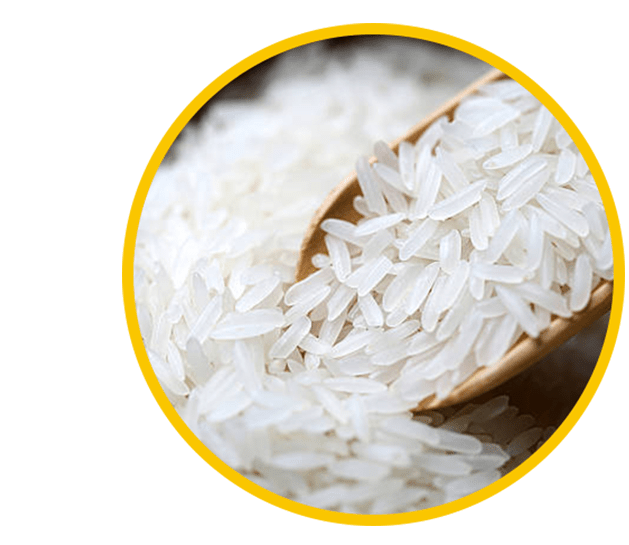 Organic Long Grain Rice Long Grain Rice Manufacturer Glucorp