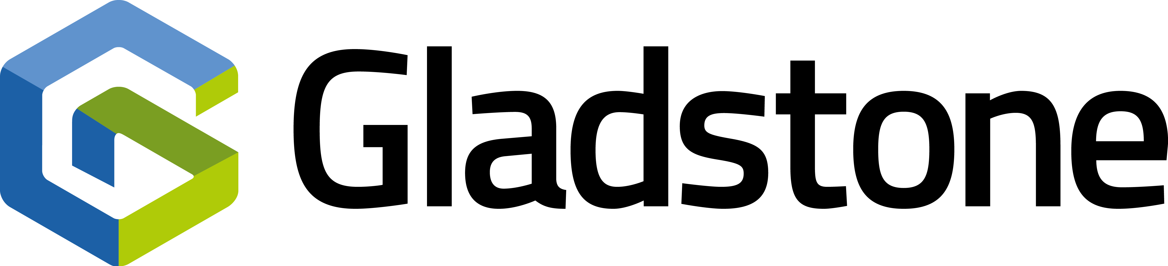 Our Partners GM Active