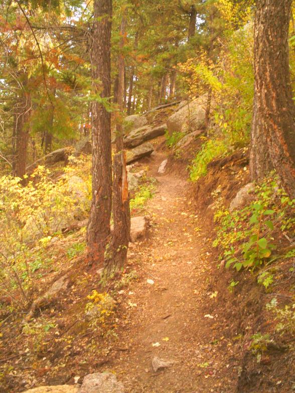 Friends of the GMF Trails Green Mountain Falls, CO 80819