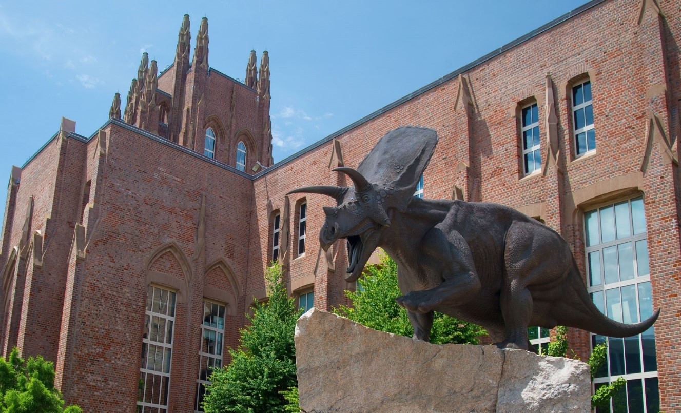 proj-YalePeabodyMuseumOfNaturalHistory-000