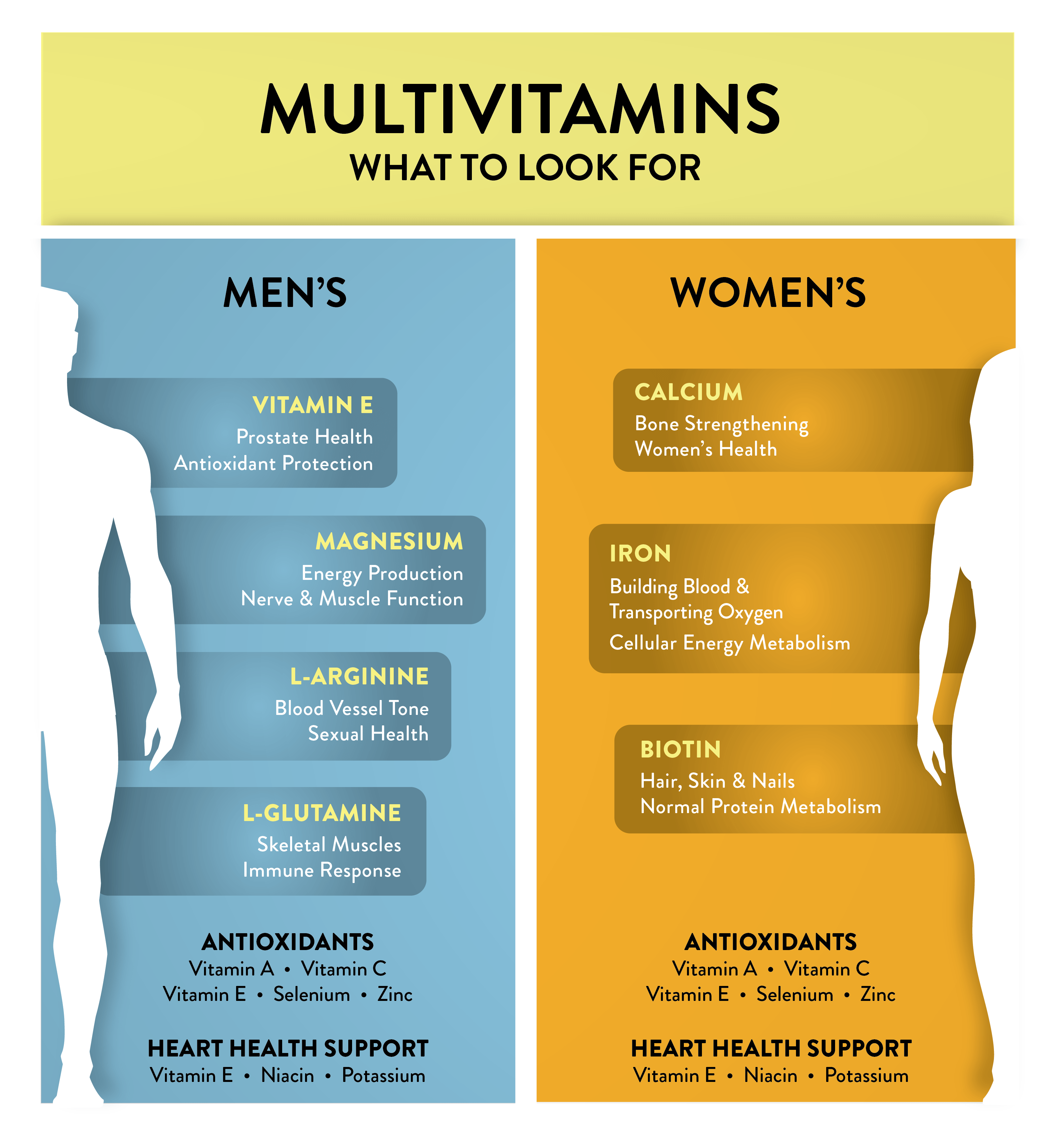 Men’s vs. Women’s Multivitamins & Why it Matters GNC GNC