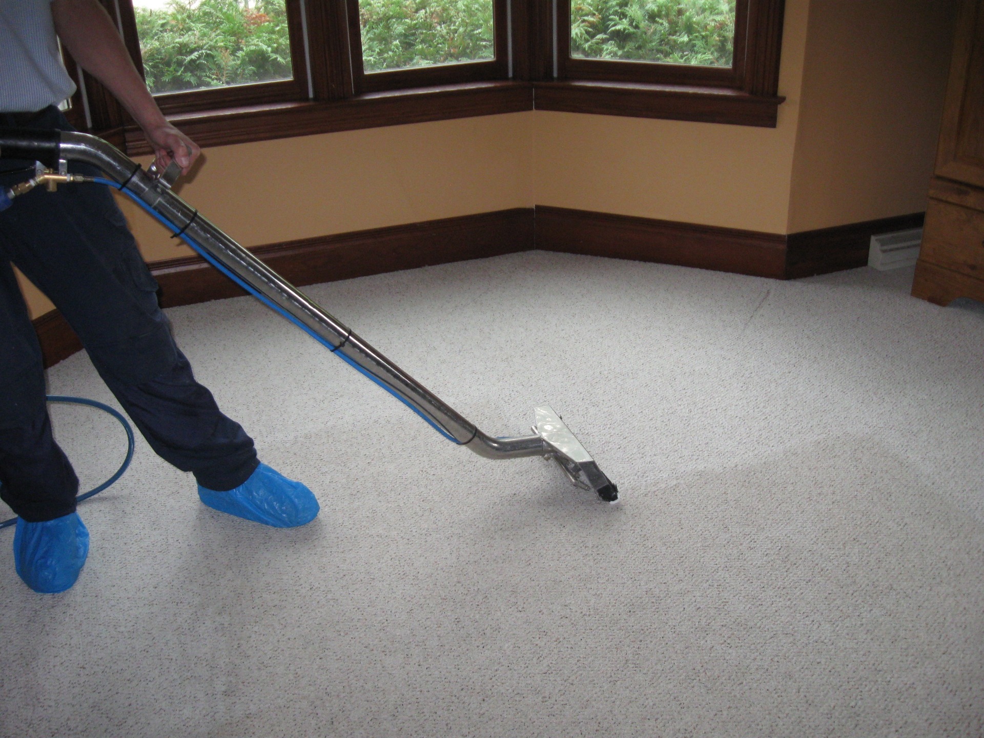 Carpet, Floor & Upholstery Cleaning GNC Cheltenham