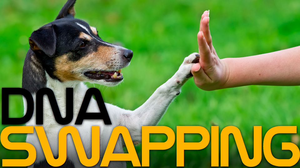 Did you know dogs have human DNA? Gnostic Warrior By Moe Bedard