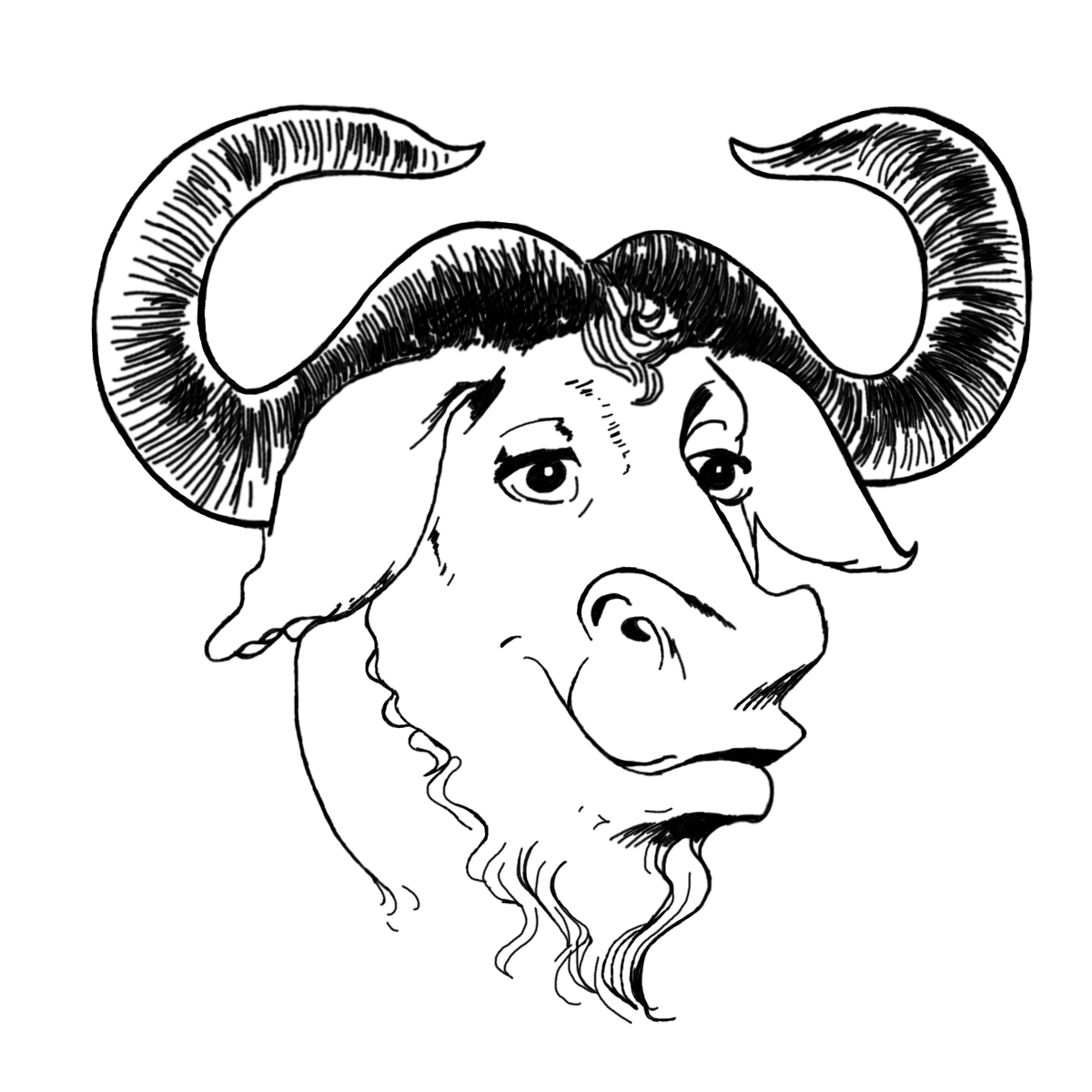 A GNU Head by Etienne Suvasa GNU Project Free Software Foundation