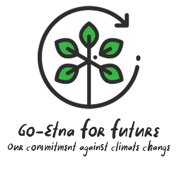 Mount Etna ECO Green Tour 100 Electric Etna Excursions GoEtna