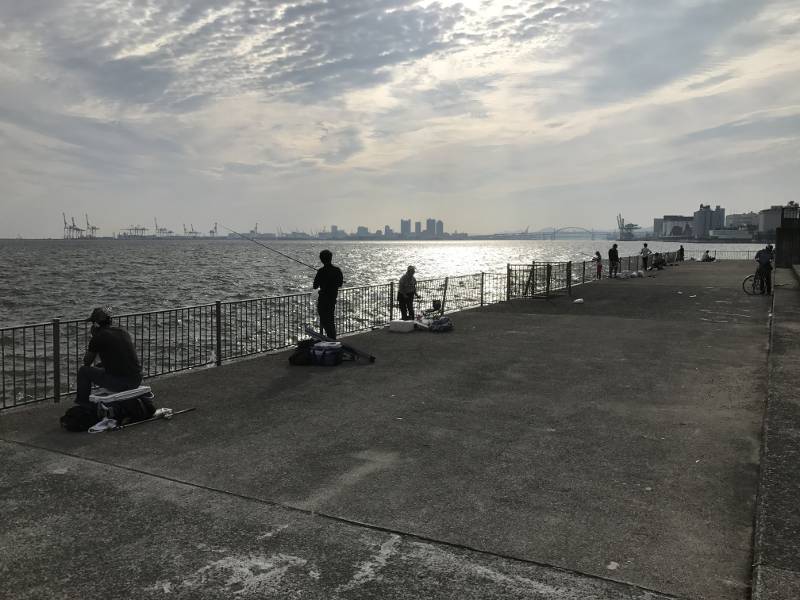 2017年秋の南芦屋浜でタチウオ釣り！ つりにいく[Go Fishing]