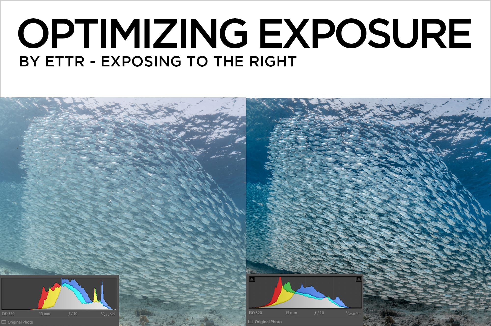 Optimizing Exposure by ETTR Exposing to the Right Go Ask Erin