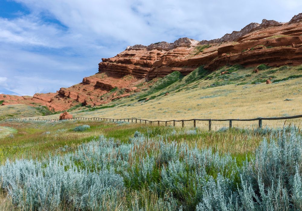 15 Best Things to Do in Billings Montana in 2023 Anna Maria Mule's Site