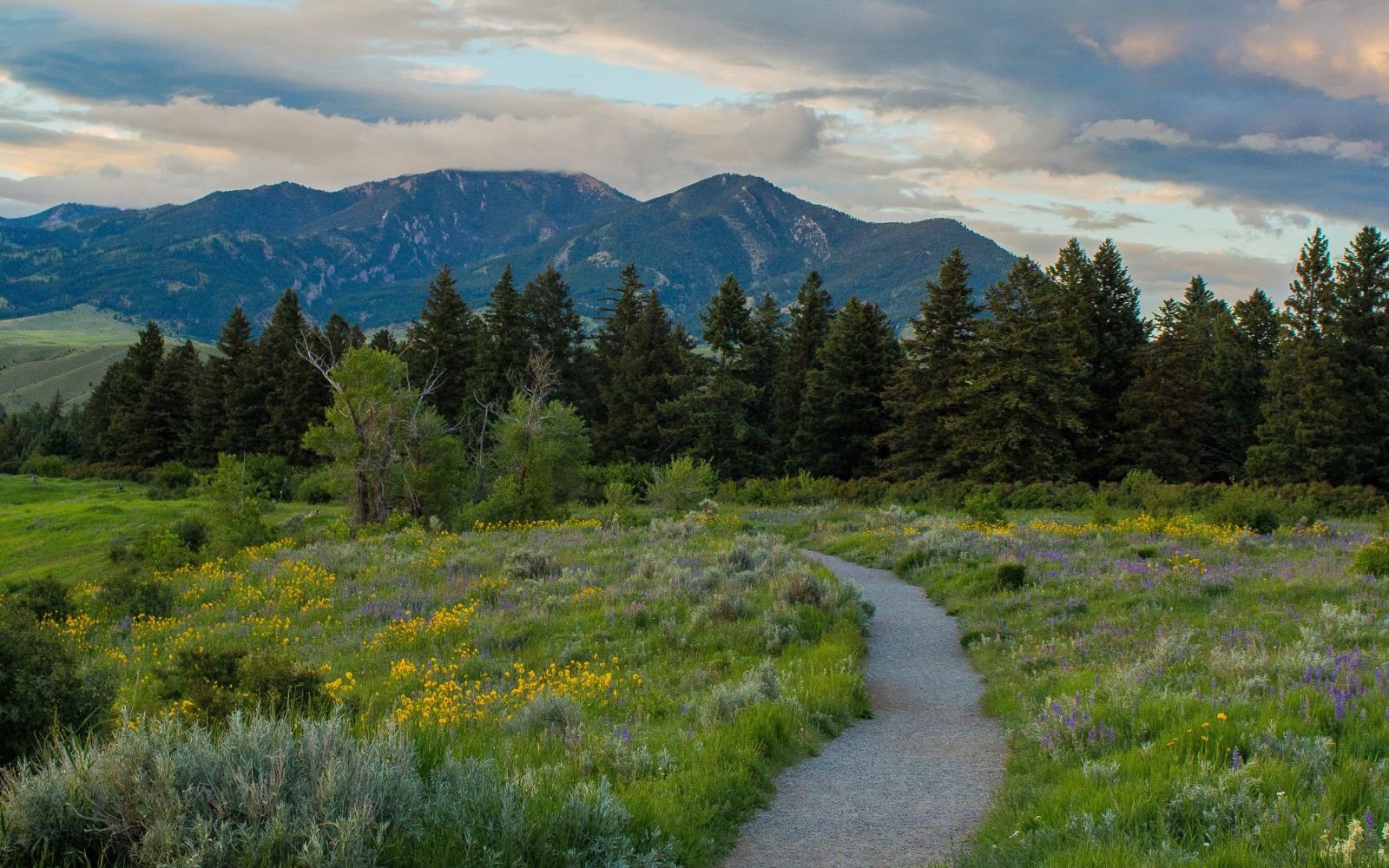 15 Best Hikes in Bozeman, Montana swedbank.nl