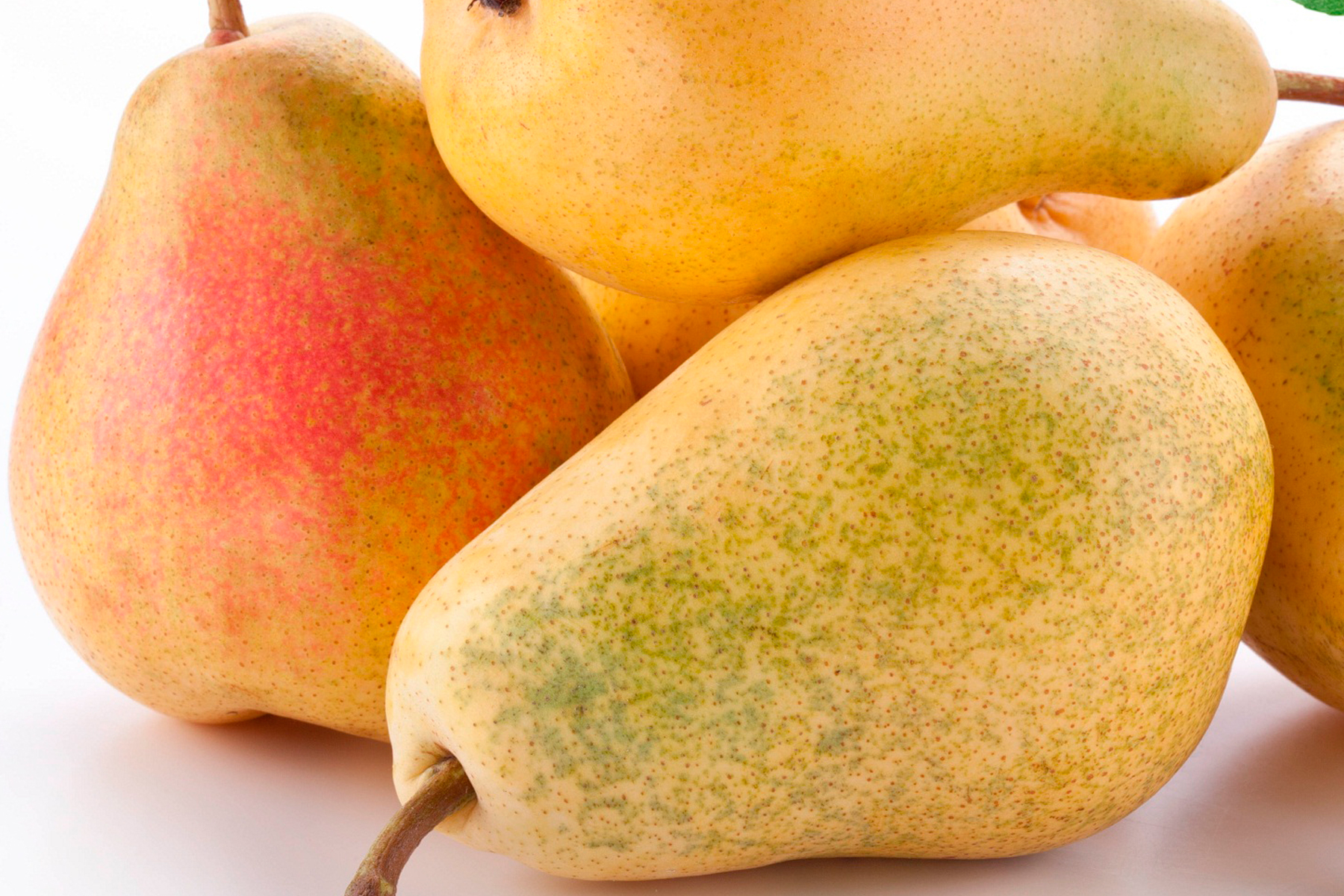 Dulce sabor de la pera mexicana. Secretaría de Agricultura, Ganadería