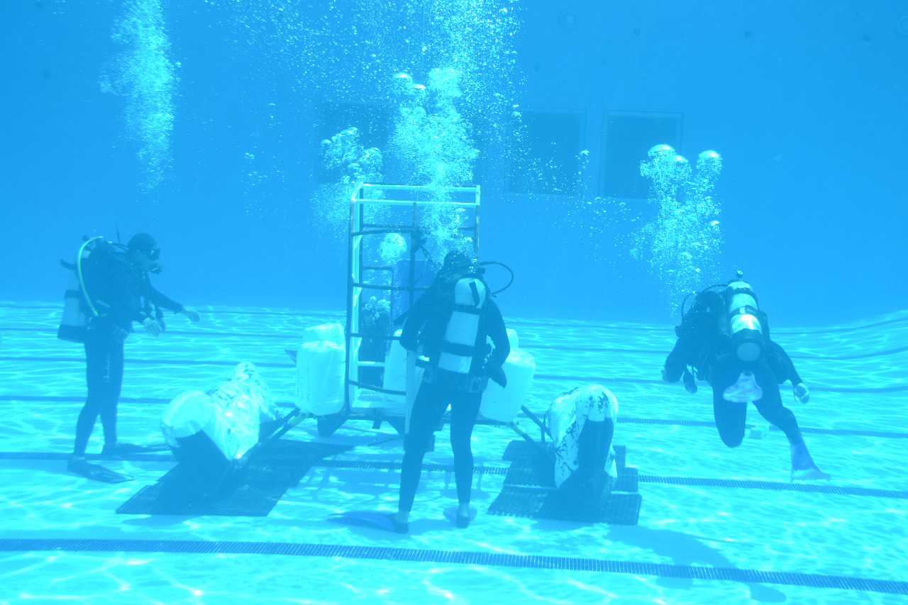 Técnico Profesional en Buceo Naval y Trabajos Submarinos y Técnico