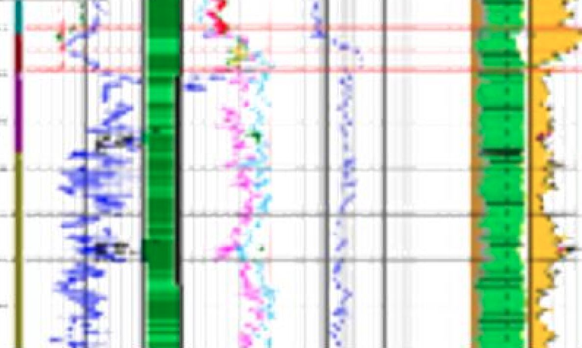 Procesado de registros geofísicos de pozos para YNF y litologías