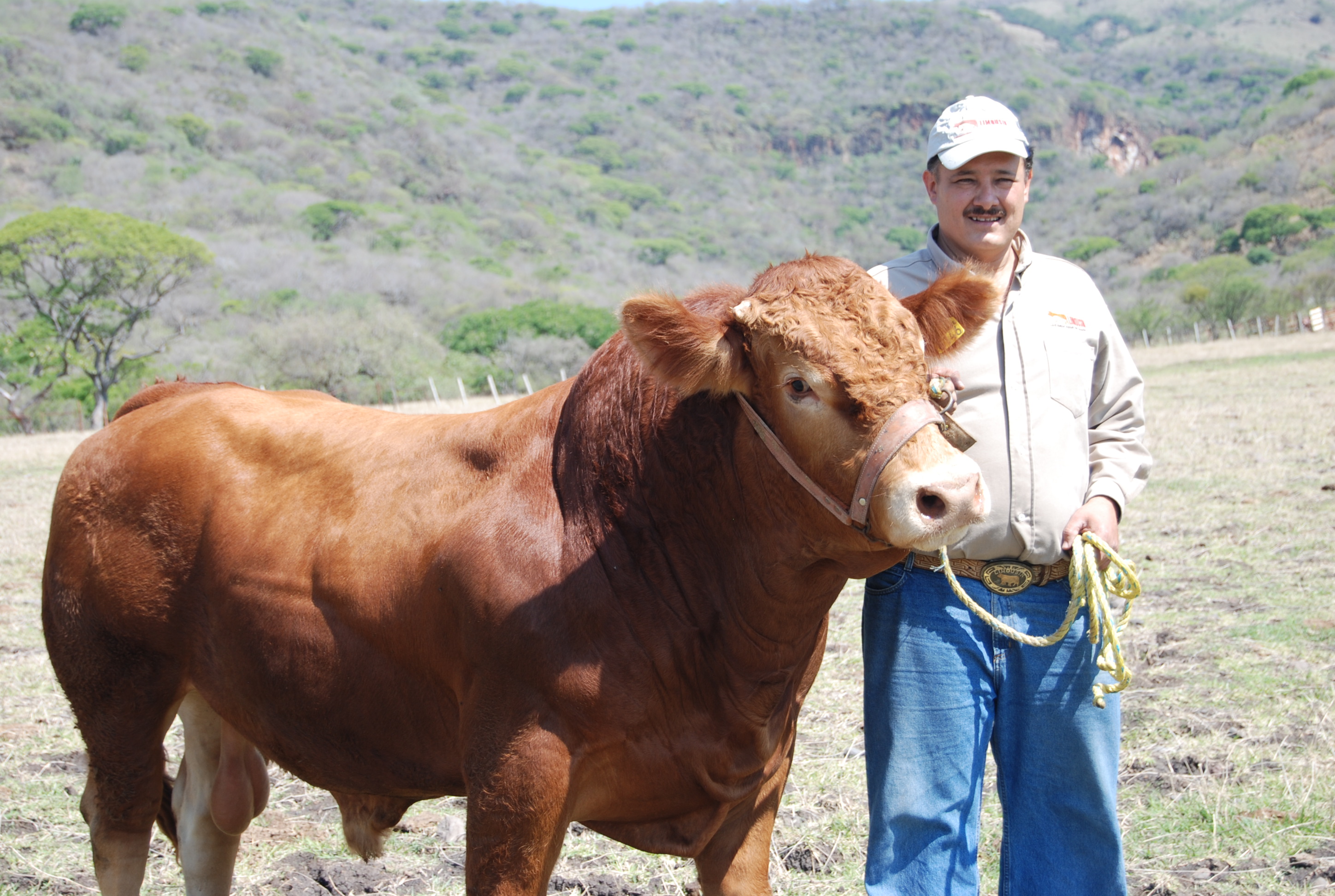 Crédito Ganadero a la Palabra, un apoyo para pequeños ganaderos