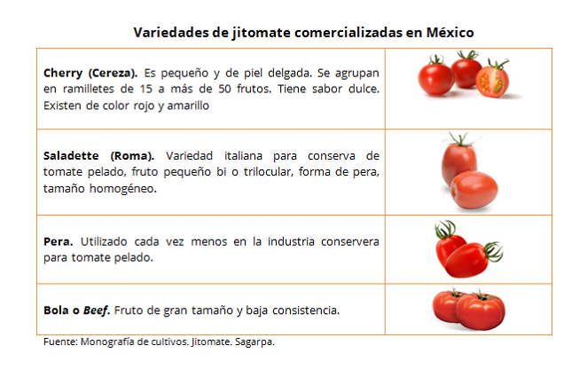 Como Los Tomates Maduren En El Mapa